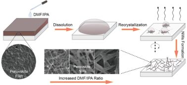 朱嘉教授課題組在有機(jī) 無機(jī)雜化型鈣鈦礦納米線制備及其光電器件應(yīng)用的研究中取得進(jìn)展