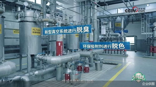 央視網走進多力安心工廠,探尋 降低油煙技術 專利的奧秘