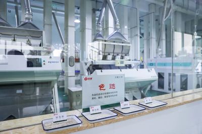 金健米業生產中心 以信息科技驅動成本控制，全面深化提質增效