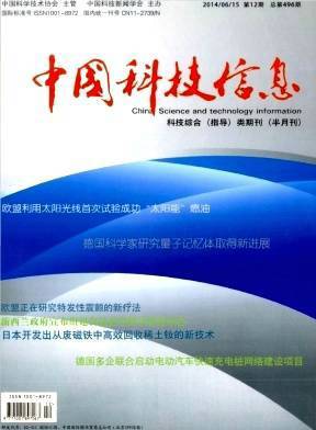 中國科技信息 信息科技的技術開發與創新路徑